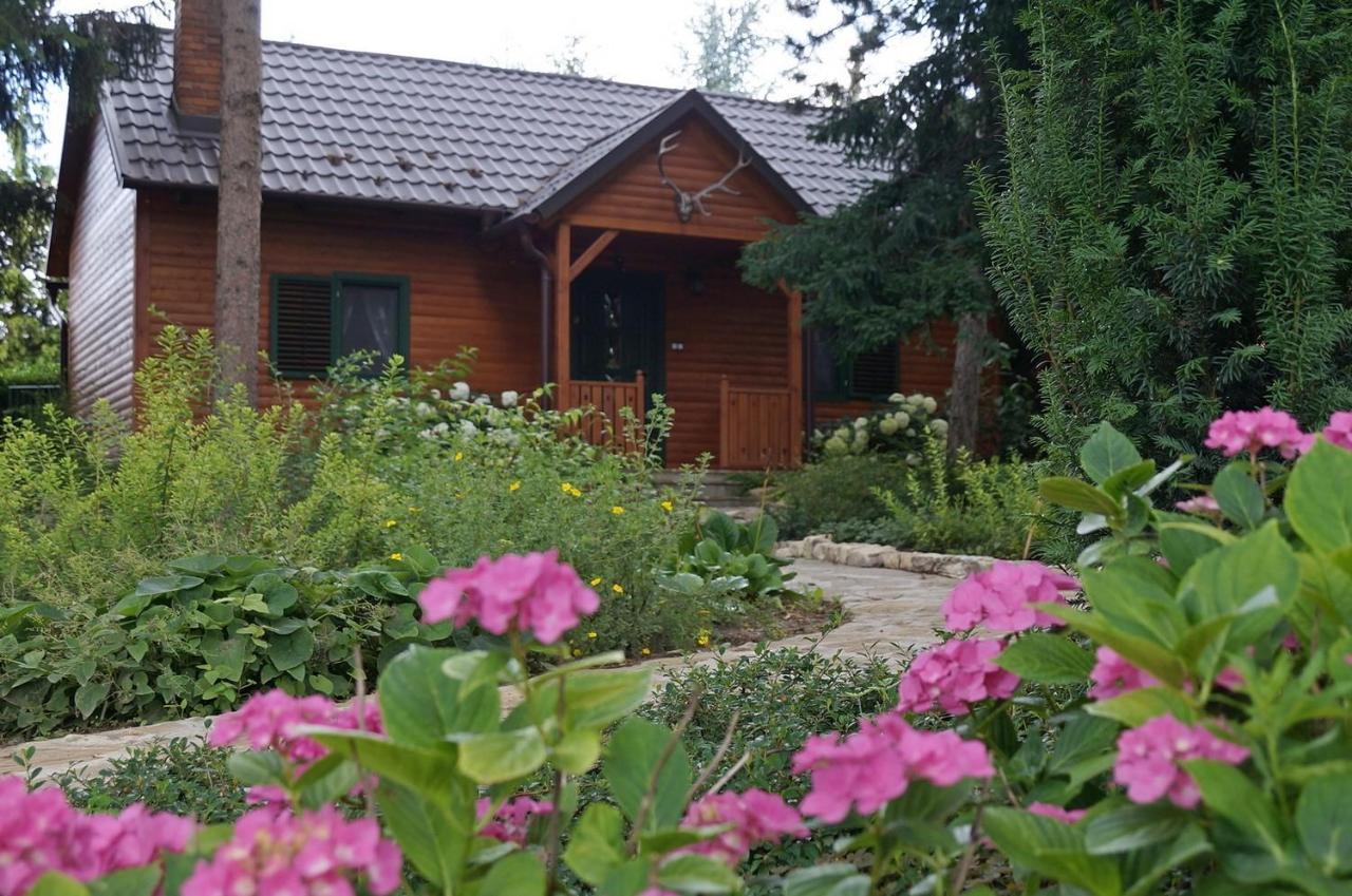 Ferienwohnung Fenyves Vendeghaz Bábolna Exterior foto